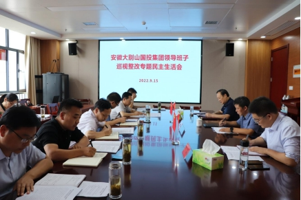 國(guó)投集團(tuán)召開(kāi)巡視整改專(zhuān)題民主生活會(huì)