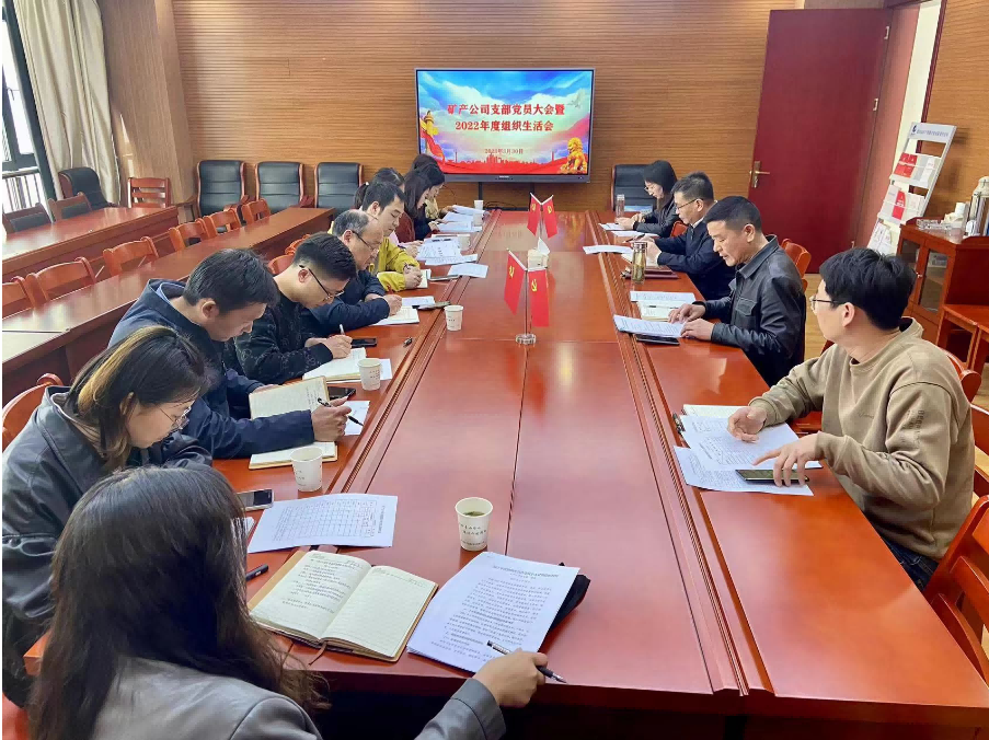 大別山國投集團(tuán)召開2022年度組織生活會(huì)