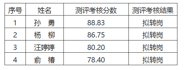 安徽大別山工程咨詢(xún)有限公司2024年臨時(shí)員工擇優(yōu)轉(zhuǎn)崗測(cè)評(píng)考核結(jié)果公示