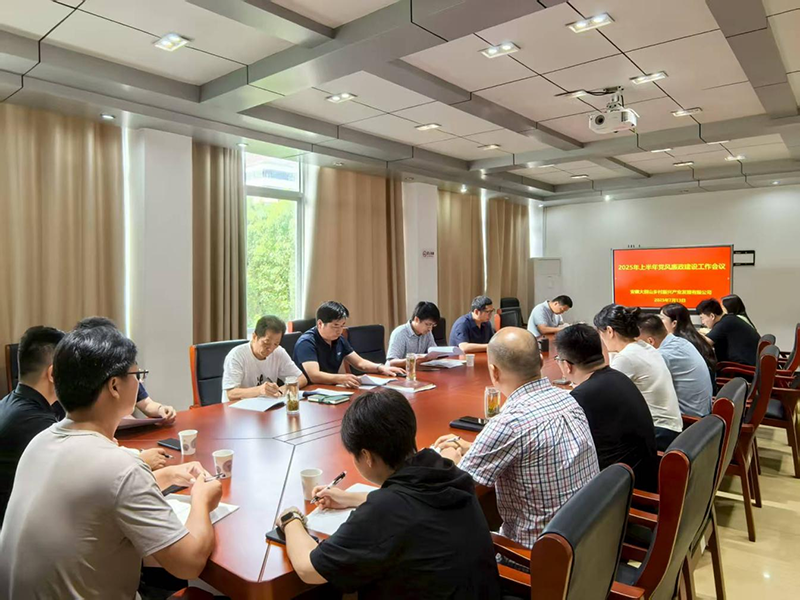鄉(xiāng)村振興公司召開(kāi)2025年上半年度黨風(fēng)廉政建設(shè)工作會(huì)議